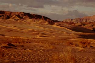 Desert terrain.
