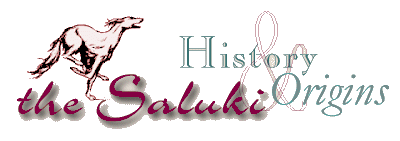 The Saluki: History & Origins